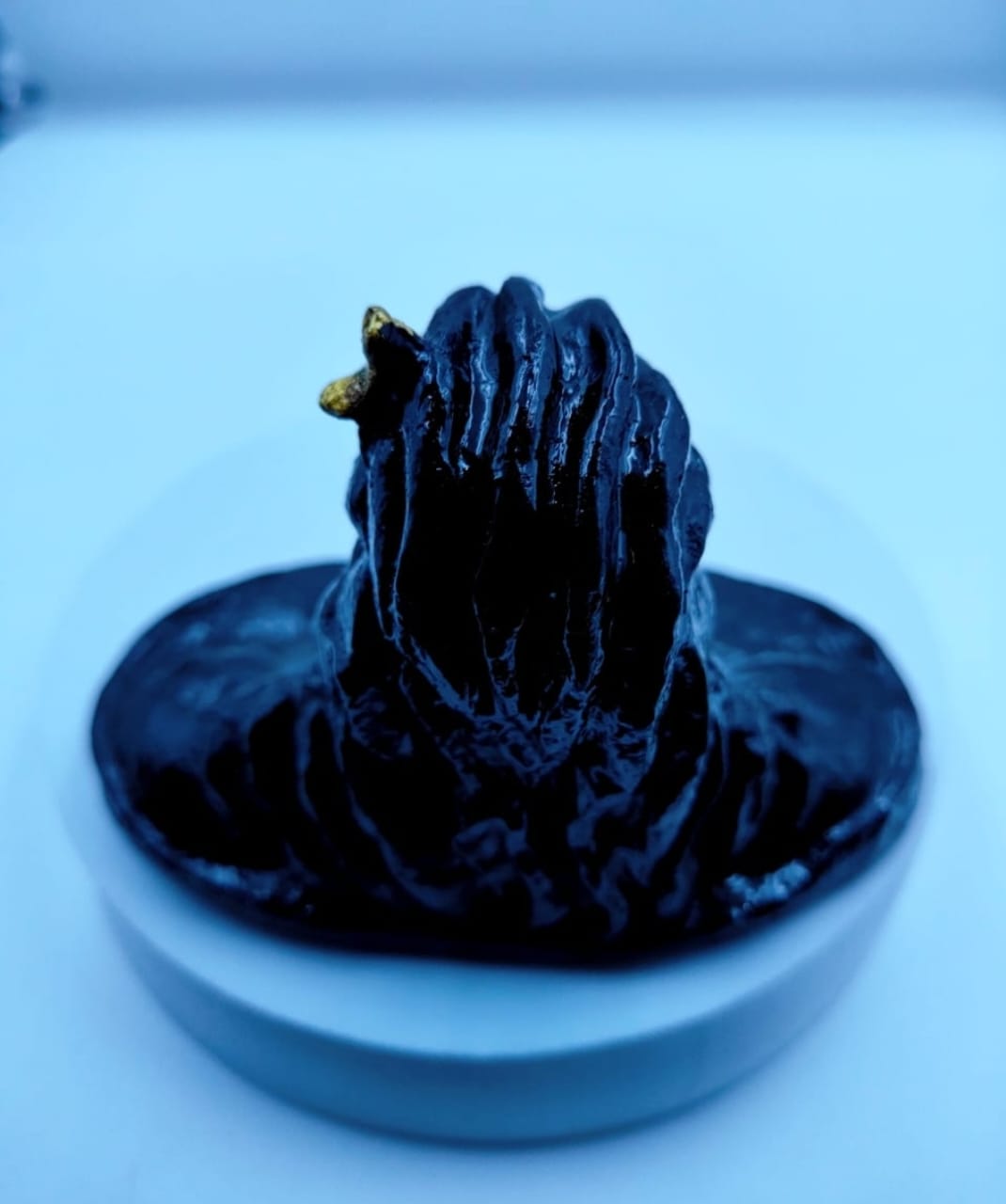 /storage/photos/1/Products/Sacred Cow Dung/ad4233e5-ac90-4423-9418-32f7001e1169.jpeg